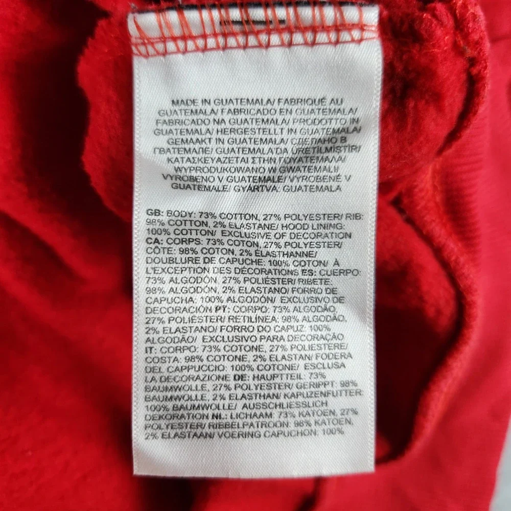 The North Face Fine Alpine Equipment Hoodie Men S Red Fleece Lined Pullover Logo